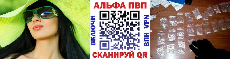 Альфа ПВП СК КРИС  Аргун 