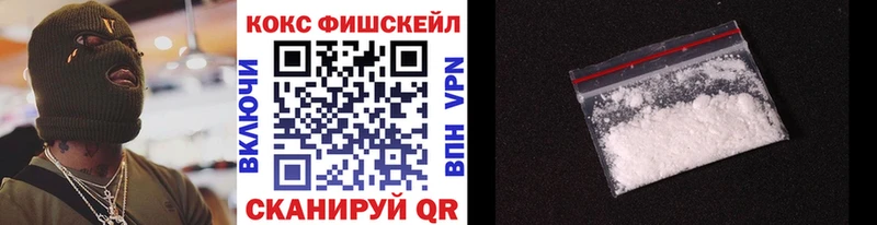 Cocaine FishScale  мега ССЫЛКА  Аргун 