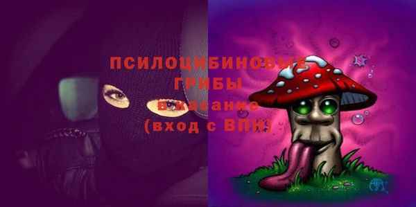 ГАЛЛЮЦИНОГЕННЫЕ ГРИБЫ Покров