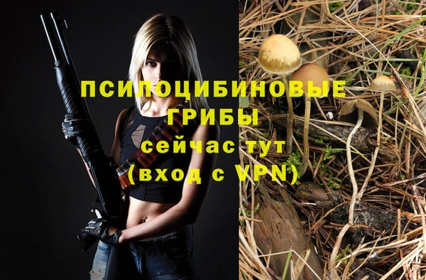 альфа пвп Покровск