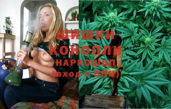 ГАЛЛЮЦИНОГЕННЫЕ ГРИБЫ Покров